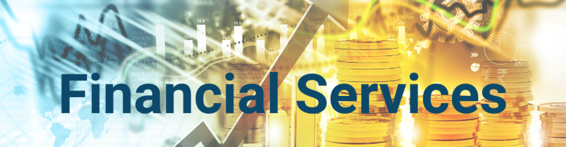 Financial Services banner