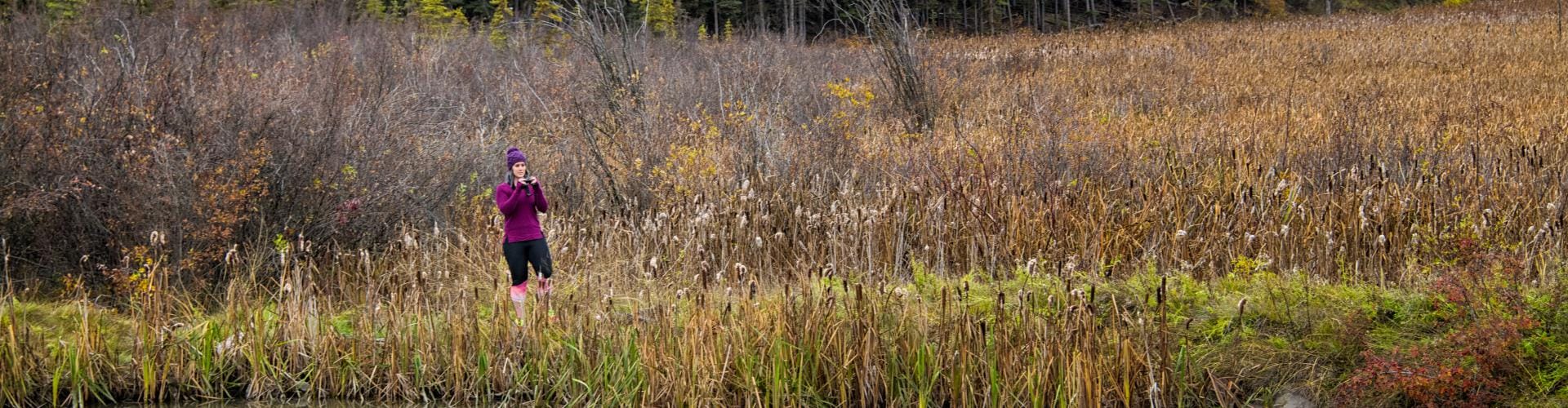 Michael Bednar Photo - 100 Mile Marsh