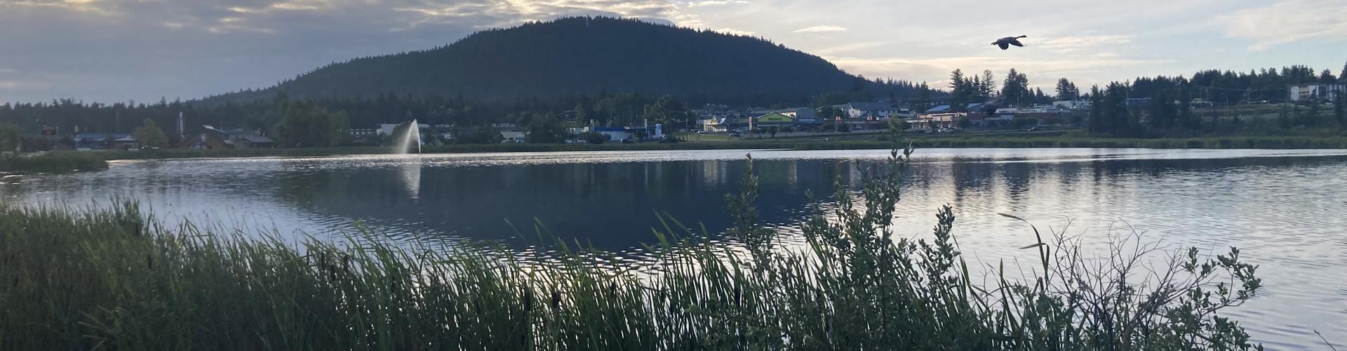 View of a marsh