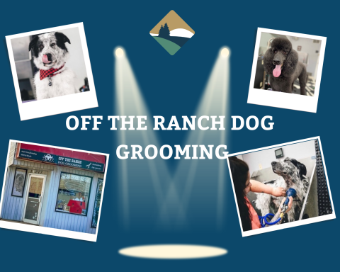 Off the Ranch Dog Grooming